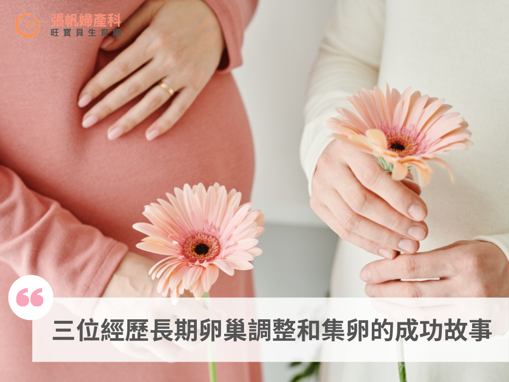 【張帆婦產科】成功案例：三位病人經歷長期卵巢調整和集卵的成功故事