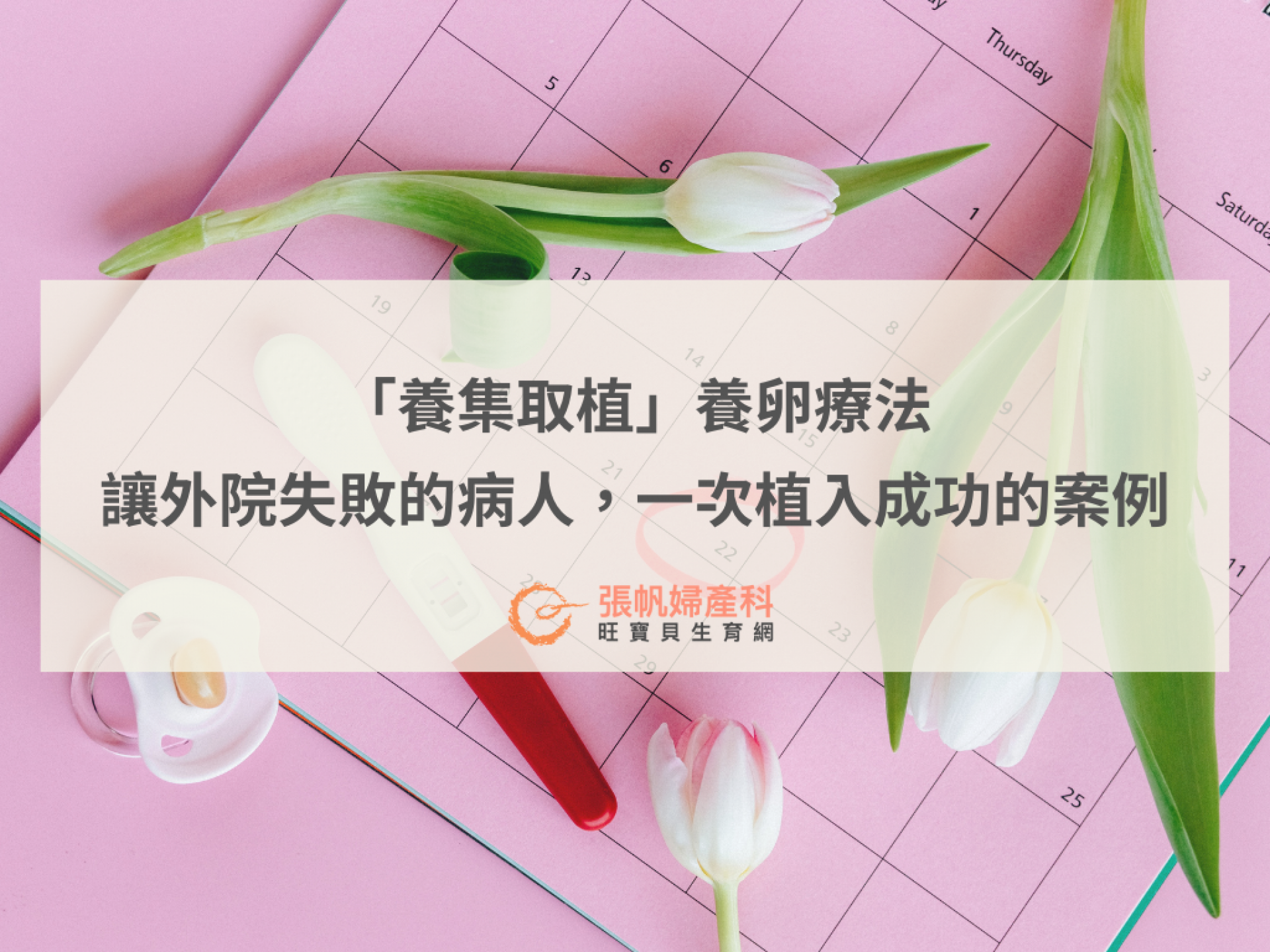 張帆婦產科｜「養集取植」養卵療法，讓外院失敗的病人一次植入成功的案例